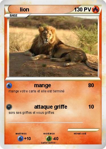 Pokemon lion