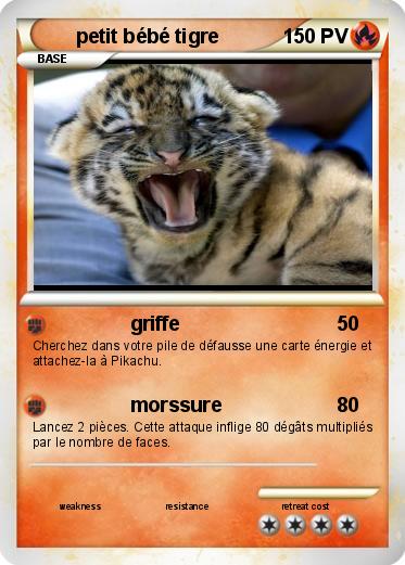Pokemon petit bébé tigre