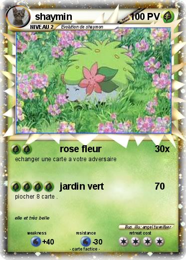 Pokemon shaymin