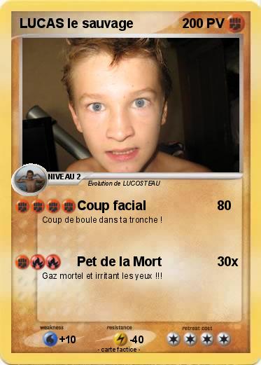 Pokemon LUCAS le sauvage