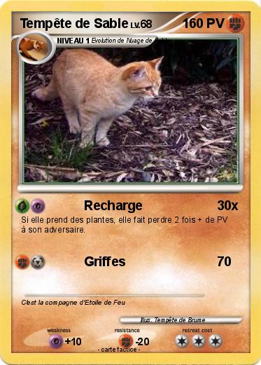 Pokemon Tempête de Sable