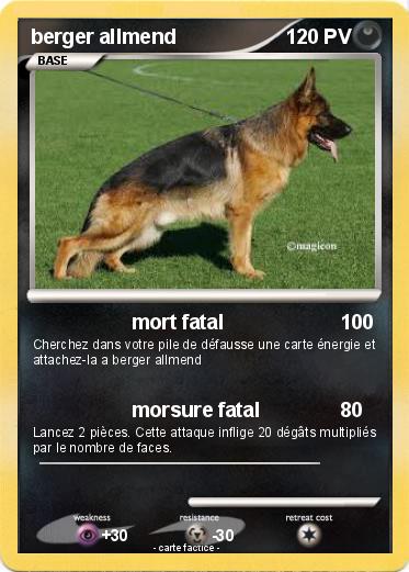 Pokemon berger allmend