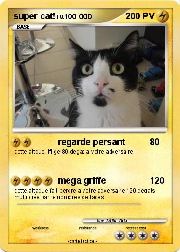 Pokemon super cat!