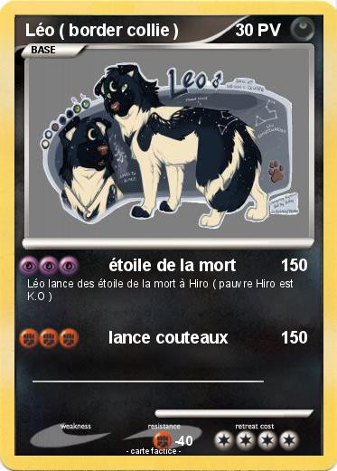 Pokemon Léo ( border collie )