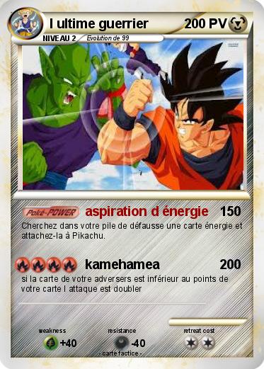 Pokemon l ultime guerrier