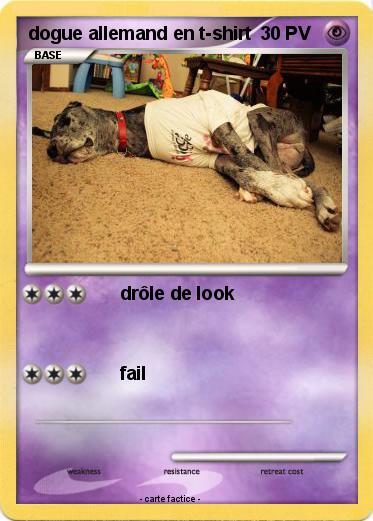 Pokemon dogue allemand en t-shirt