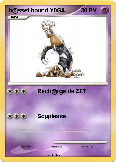 Pokemon b@sset hound Y0GA