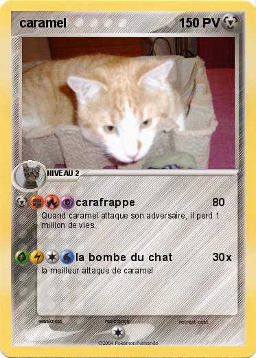 Pokemon caramel