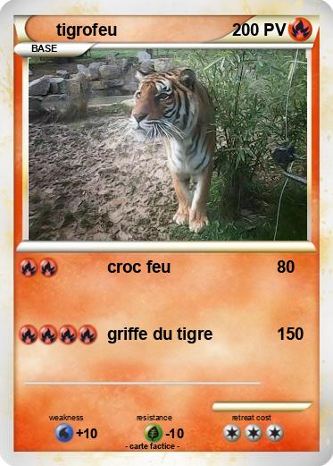 Pokemon tigrofeu