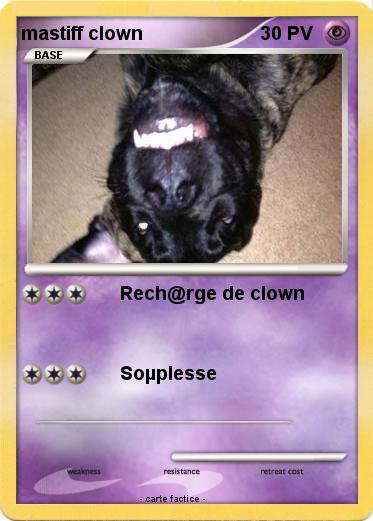 Pokemon mastiff clown