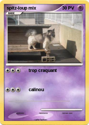 Pokemon spitz-loup mix