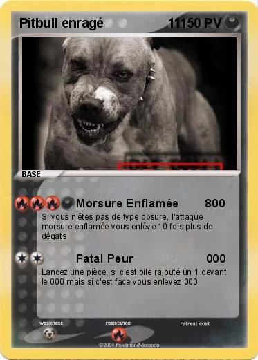 Pokemon Pitbull enragé                  11