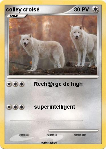 Pokemon colley croisé