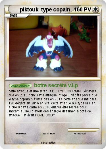 Pokemon piktouk  type copain