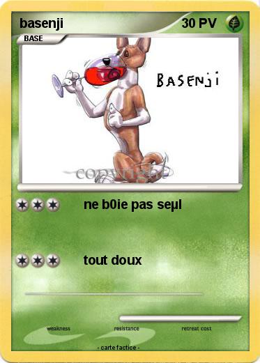 Pokemon basenji