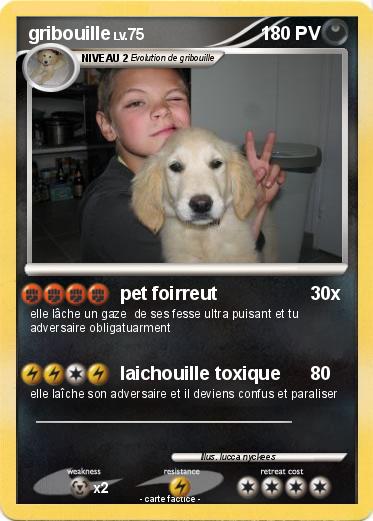 Pokemon gribouille