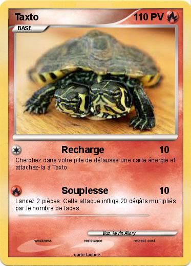 Pokemon Taxto