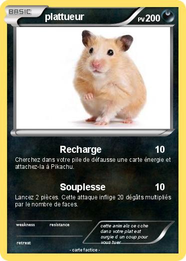 Pokemon plattueur