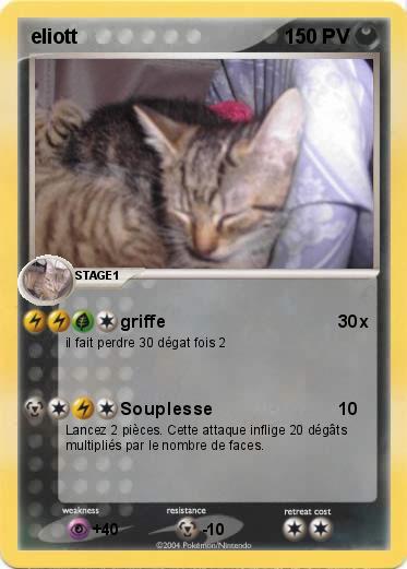 Pokemon eliott