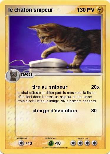 Pokemon le chaton snipeur