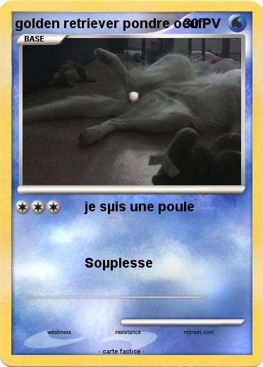 Pokemon golden retriever pondre oeuf