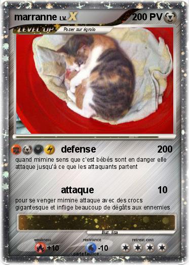 Pokemon marranne