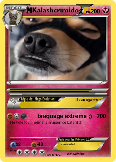 Pokemon Kalashcrimidog