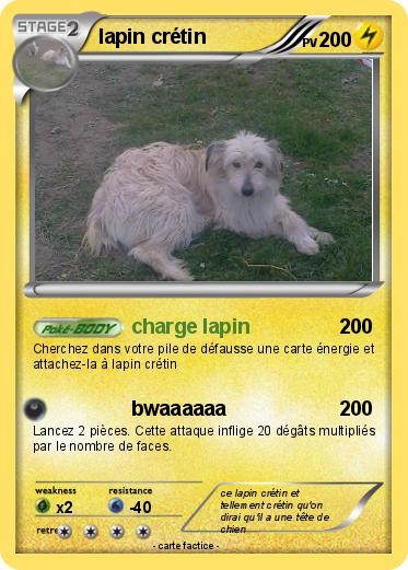Pokemon lapin crétin
