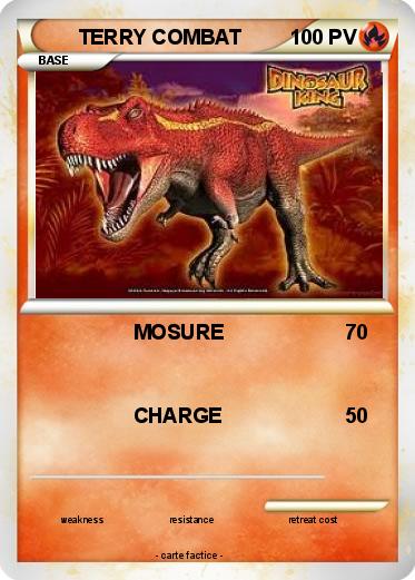 Pokemon TERRY COMBAT