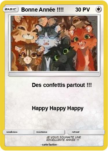 Pokemon Bonne Année !!!!