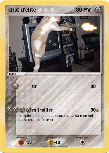 Pokemon chat d'élite