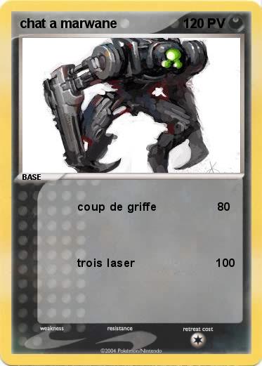 Pokemon chat a marwane