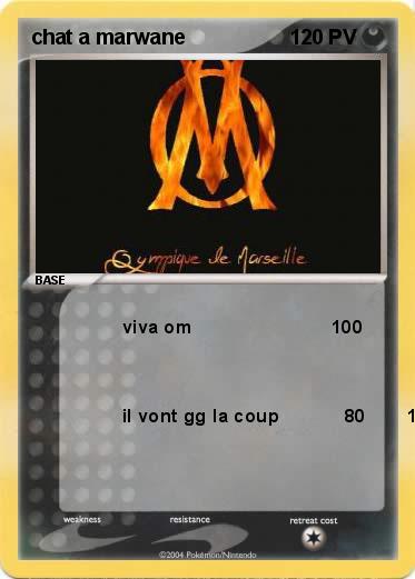 Pokemon chat a marwane