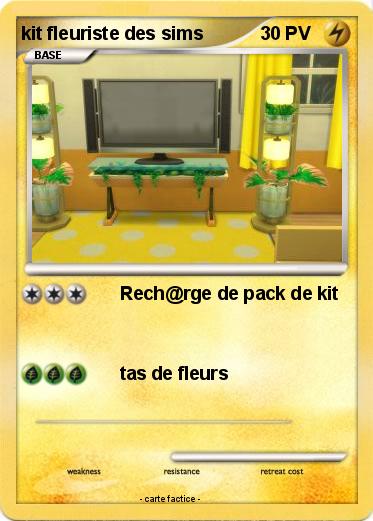 Pokemon kit fleuriste des sims