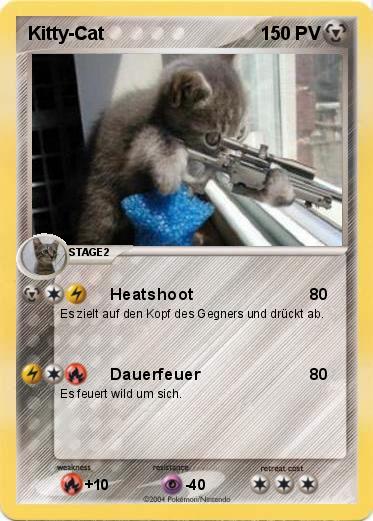 Pokemon Kitty-Cat