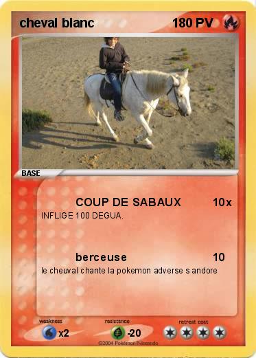 Pokemon cheval blanc                      1