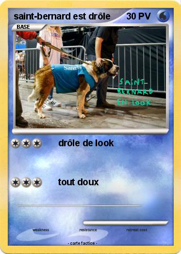 Pokemon saint-bernard est drôle