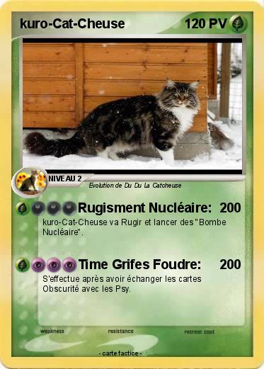 Pokemon kuro-Cat-Cheuse