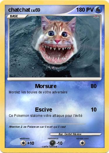 Pokemon chatchat