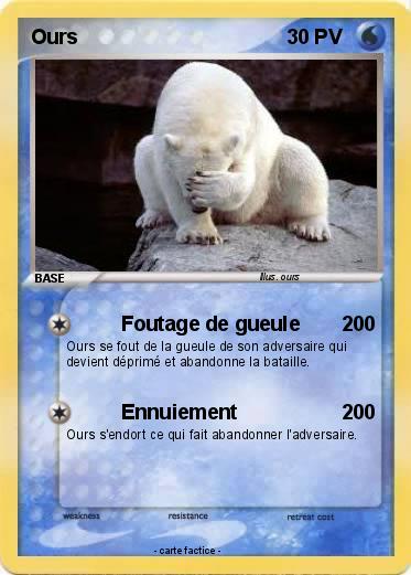 Pokemon Ours