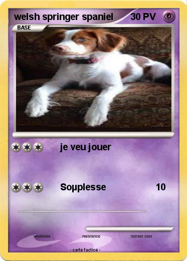 Pokemon welsh springer spaniel