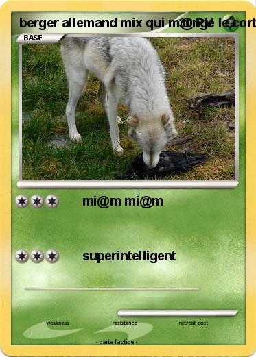 Pokemon berger allemand mix qui m@nge le corbeau
