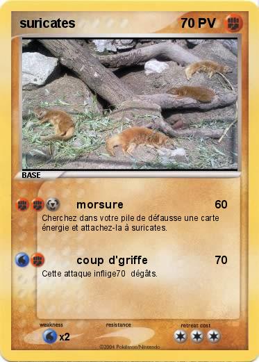 Pokemon suricates