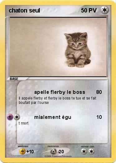 Pokemon chaton seul