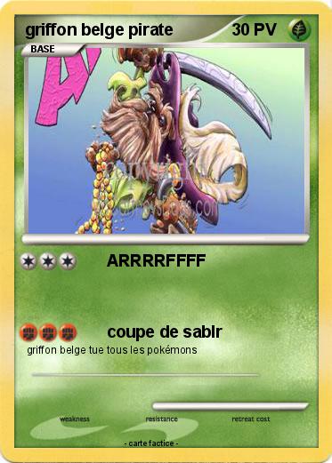 Pokemon griffon belge pirate
