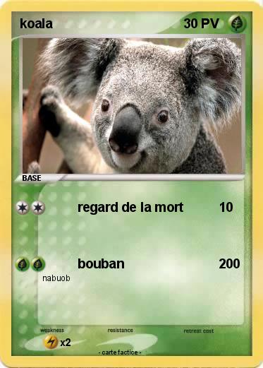 Pokemon koala