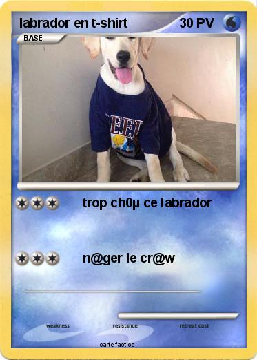 Pokemon labrador en t-shirt
