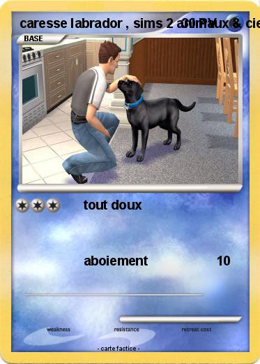 Pokemon caresse labrador , sims 2 animaux & cie