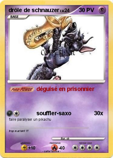 Pokemon drôle de schnauzer