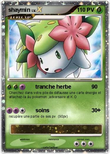 Pokemon shaymin